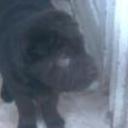 Tayson