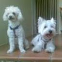 Lucho y nora