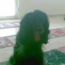 Motty