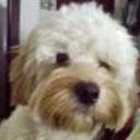 Bruno
