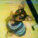 Chiky