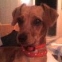 Lola