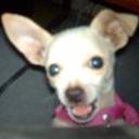 Maggy