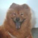 Yako