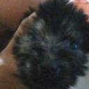 Cleo