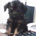 Cleo