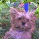 Lucho