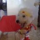 Bobby