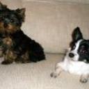 Jonas y valentin