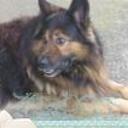 Yako