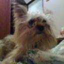 Lucho
