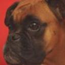 Tuca
