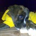 Turko