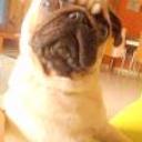 Charly