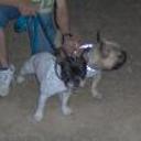 Lukas  y puka