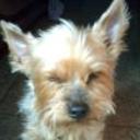 Bobby