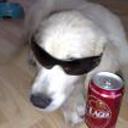 Baxter