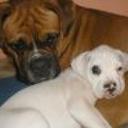 Tayson