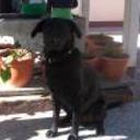 Juguete