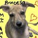 Princesa