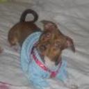 Mixi