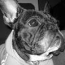 Lola