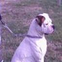 Braco
