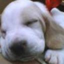 Bebe de samy