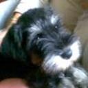 Indyana (indy)