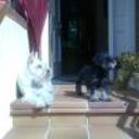 Leo y indy
