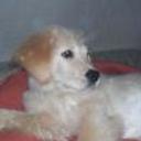 Jacko