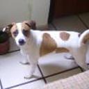 Lulú