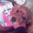 Molly