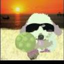 Rocco