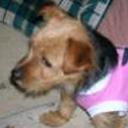 Sheyla