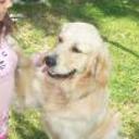 Yako