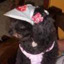 Blacky
