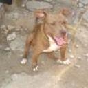 Athos