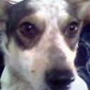 Blanquita