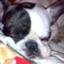 Lola