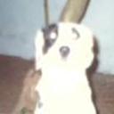 Chavito