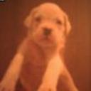Nena