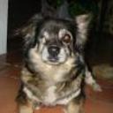 Kika