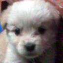 Betoven
