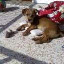 Iker