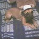 Chita