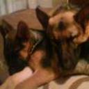 Zeus y hera