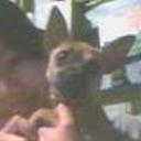 Chita