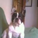 Ronny