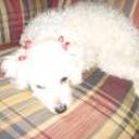 Kibely